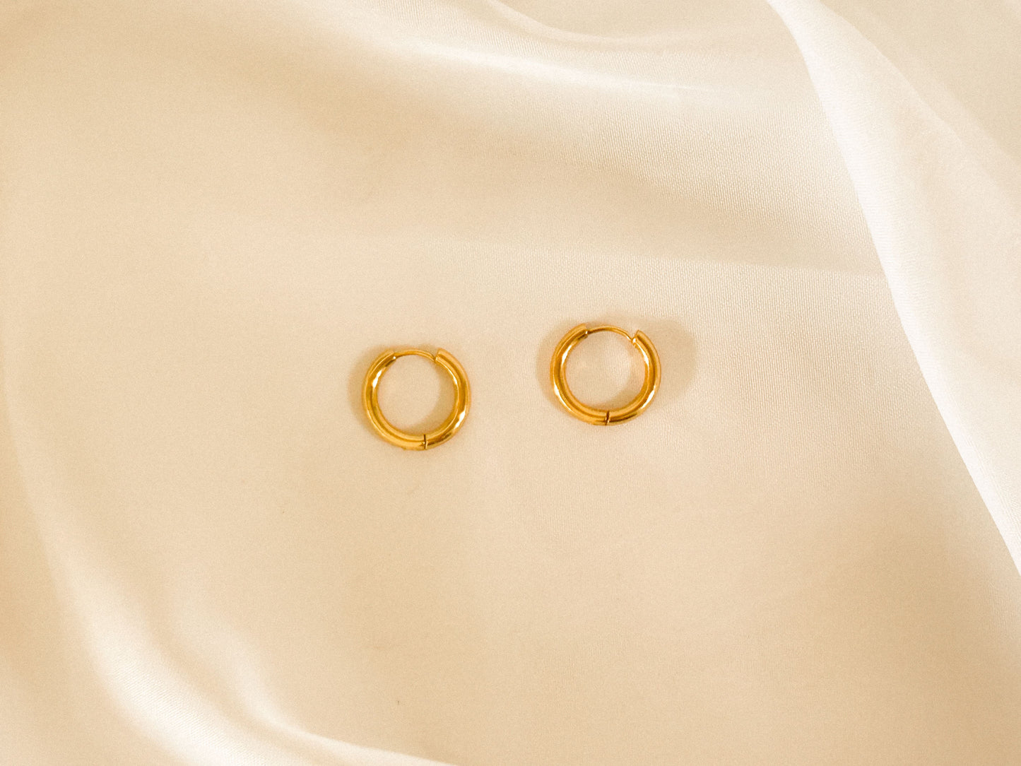 Brinco Argola Pequena