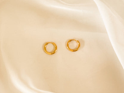 Brinco Argola Pequena