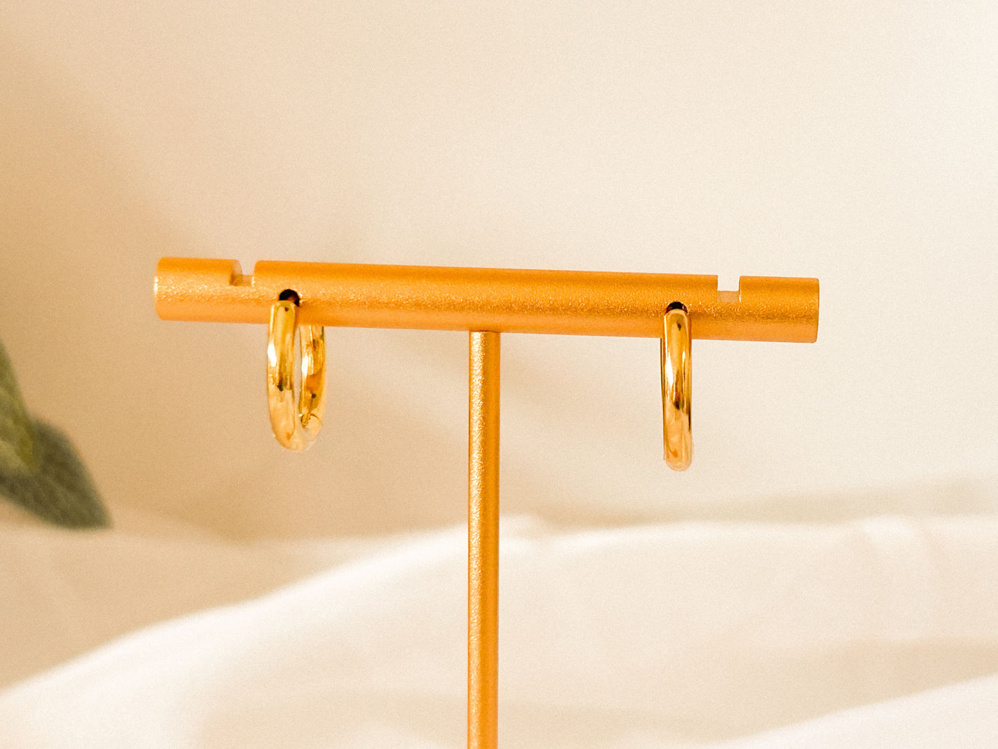 Brinco Argola Pequena